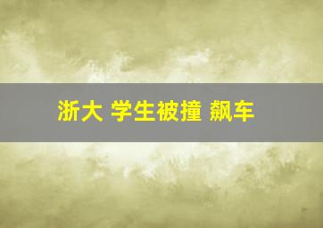 浙大 学生被撞 飙车